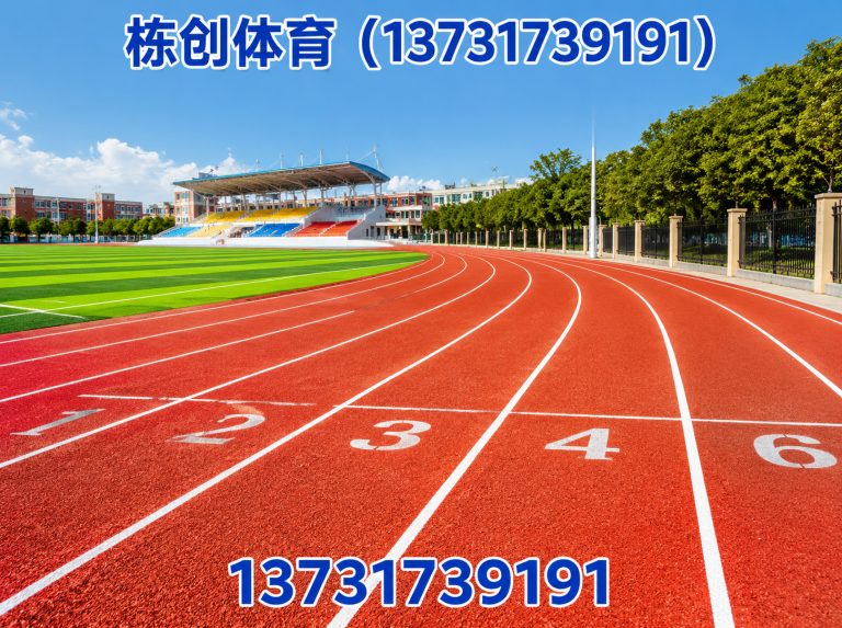 盐山县硅PU球场展示图